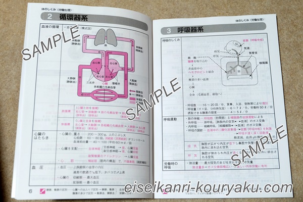 【体験談】ユーキャン第1種衛生管理者を実際に受講したレビュー！