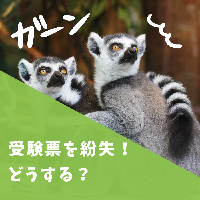 【衛生管理者】受験票を紛失！当日どうする？再発行の方法