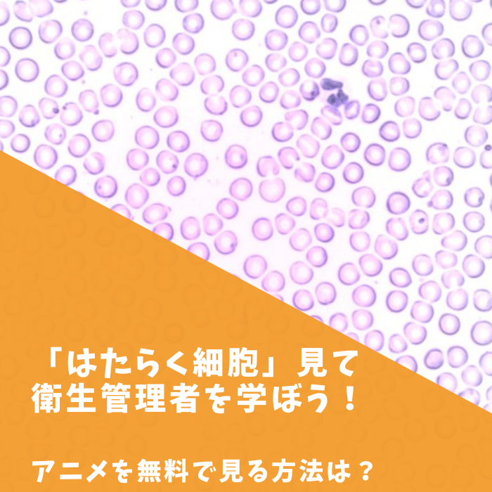 「はたらく細胞」見て衛生管理者を学ぼう！アニメを無料で見る方法は？