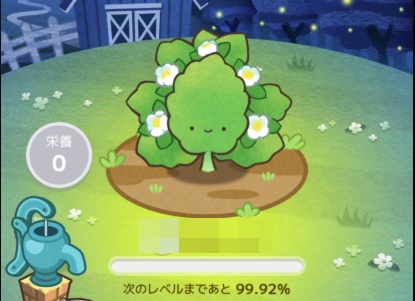 カウシェファームお茶の生育段階