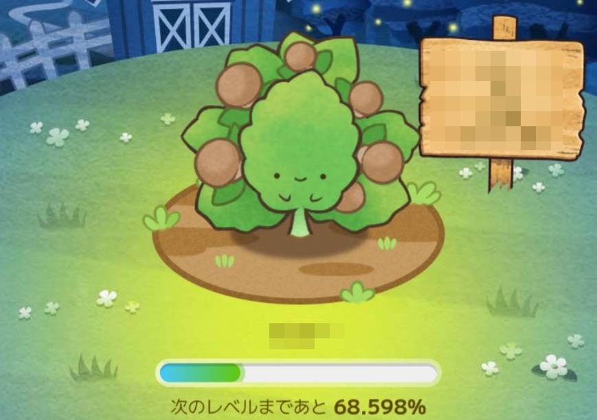 カウシェファームお茶の生育段階