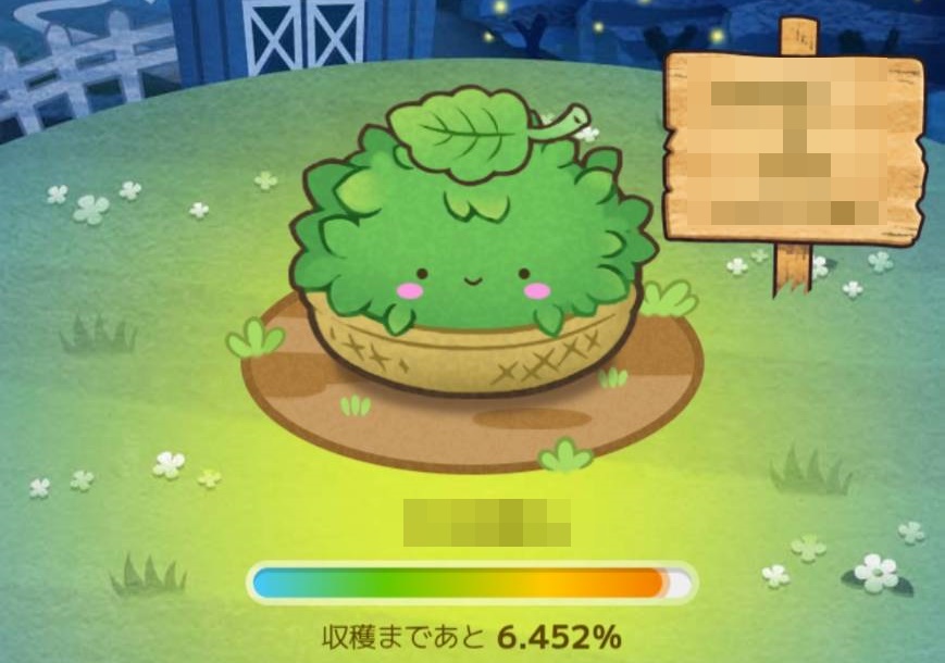 カウシェファームお茶の生育段階