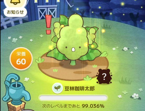 カウシェファーム玉ねぎの生育段階
