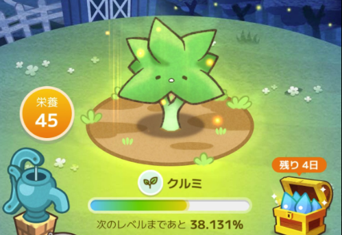 カウシェファーム　ナッツの生育段階