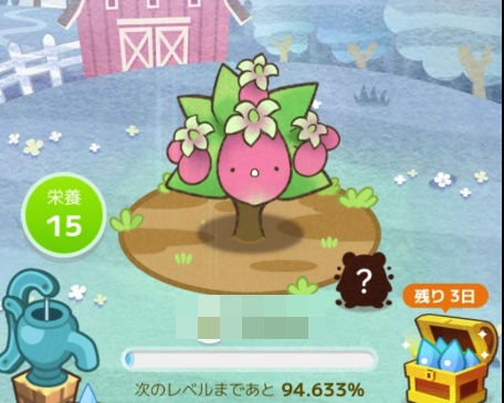 カウシェファーム　ナッツの生育段階