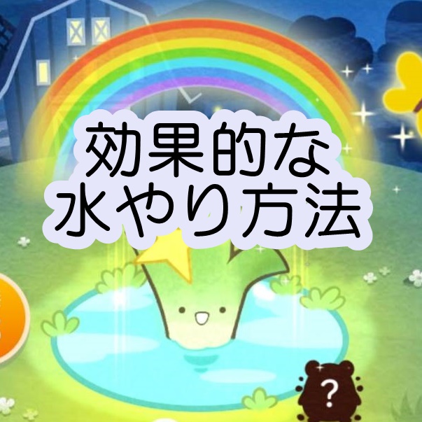 カウシェファーム水やり のコツ
