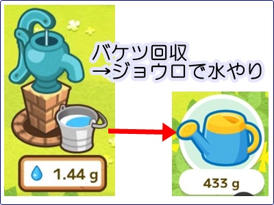 カウシェファーム　水やりのコツ