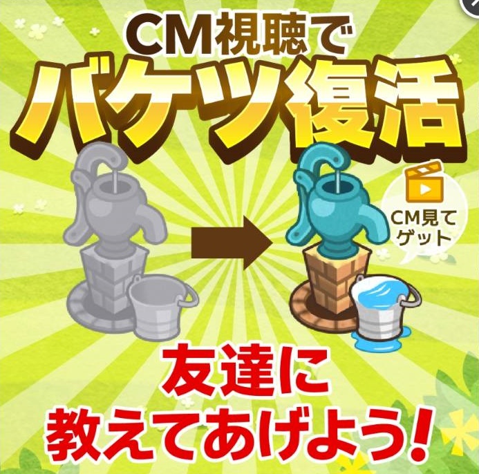カウシェファーム　水やりのコツ
