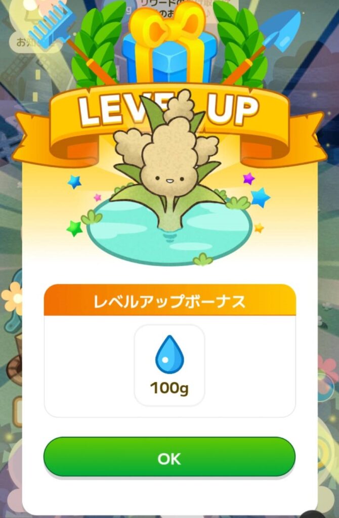 カウシェファーム　水やりのコツ