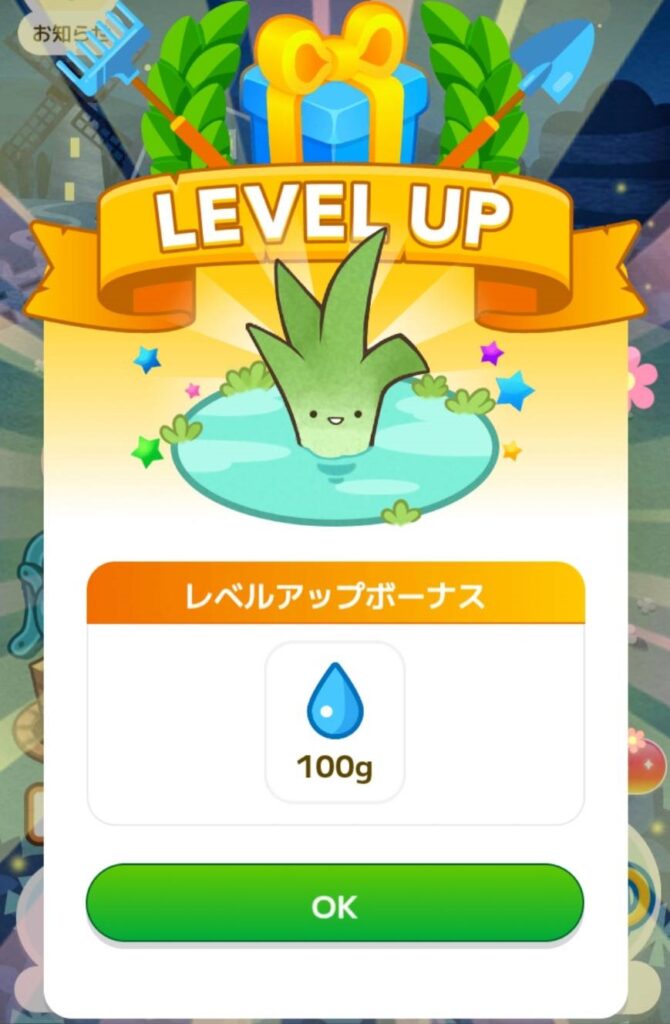 カウシェファーム　水やりのコツ