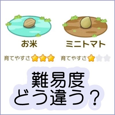 カウシェファーム作物お野菜の難易度と育てやすさ