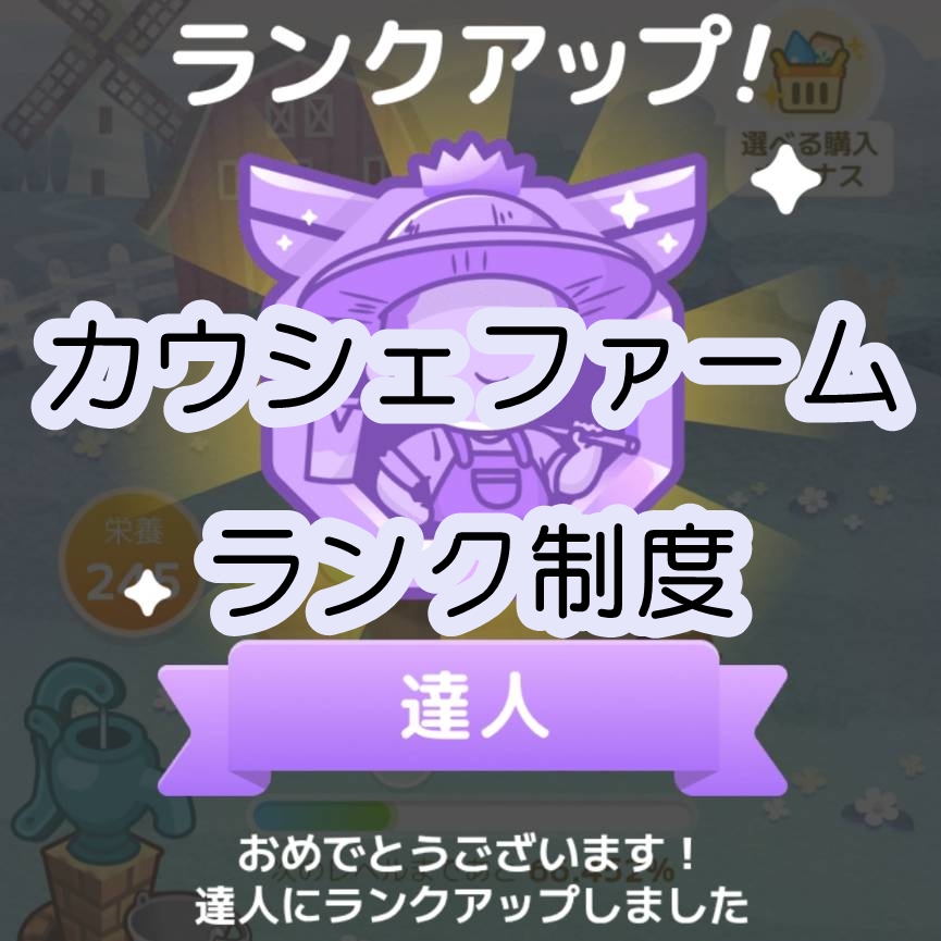 カウシェファーム　ランク制度2024